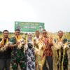 Danrem Lilawangsa Bersama Masyarakat Panen Raya Jagung 8 Hektar di Aceh Utara