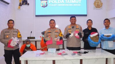 Polres Madina Ungkap Kasus Narkoba Terbesar di Tabuyung