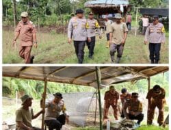 Kapolres Abdya Tinjau Lahan Pekarangan Bergizi di Kecamatan Setia