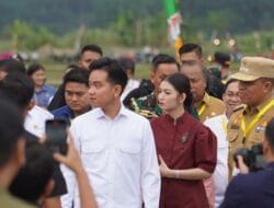 Wakil Presiden Tinjau Percepat Swasembada Pangan di Langkat