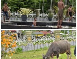Ketua Komisi IV DPRK Abdya Pertanyakan Kinerja Dinas dan Pengawas Masjid Agung, Ini Penyebabnya
