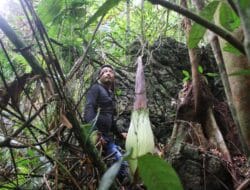 Bunga Langka Membuat Eko Wisata Batu Katak Semakin Mendunia