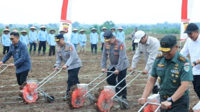Polri Targetkan Tanam Jagung 1 Juta Hektare Dukung Swasembada Pangan