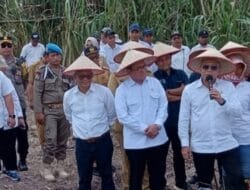 Kunjungi Pabrik Gula di Langkat, Menko Zhulhas Sebut Tebu Kurus seperti Kena Stunting