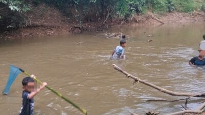 Soal Ikan Mabuk di Sungai Palu Pakeh, Maskep PKS UPL Batang Serangan Menyangkal