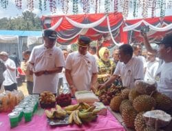 Pesta Buah, Promosi UMKM dan Bazar Produk Unggulan Desa di Madina Semarak