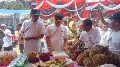 Pesta Buah, Promosi UMKM dan Bazar Produk Unggulan Desa di Madina Semarak