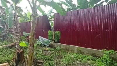 PT Tun Sewindu Tak Salahkan Bobby Berpihak ke Kadis LHK Sumut