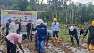 Dukung Asta Cita Presiden RI, PT SMGP-Polres Madina Tanam Jagung 2 Hektar di Purba Baru