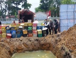 Polda Sumut dan Balai Karantina Musnahkan 4 Ton Mangga Asal Thailand