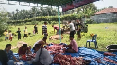Jelang Idul Fitri 1446 H, DPRD Fraksi Golkar Dapil Binjai Barat Sembelih 4 Ekor Sapi
