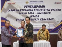 Rico Waas Serahkan LKPD Unaudited 2024 ke BPK RI Perwakilan Sumut