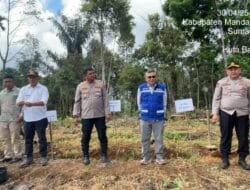 PT SMGP dan Polres Madina Lakukan Penanaman 19 ribu Kopi di Desa Hutabaringin