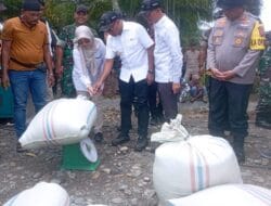 Bupati Abdya Panen Raya Padi Serentak 14 Provinsi Pogram Presiden RI