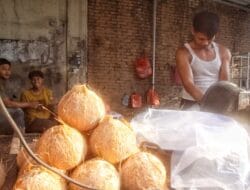 Harga Kelapa di Medan Masih Menjulang, per Butir Bisa Rp15.000