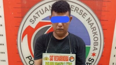 Satnarkoba Polres Palas Ringkus Pengedar Sabu di Barumun