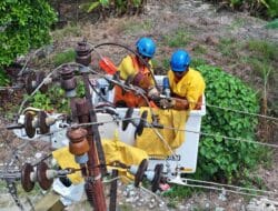 PLN Sumut Tingkatkan Keandalan Listrik di Kepulauan Nias Melalui KATRIN