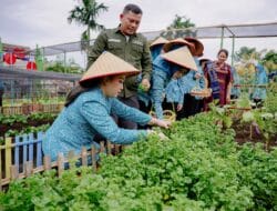Airin Waas Tinjau dan Panen Sayuran di Taman Setia Sempakata