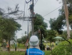 Pohon Tumbang, Jalan Macet, Listrik Padam, Ini Kronologinya