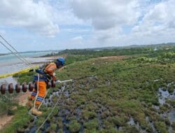Wujud Kontribusi ke Negara, PLN Setor Rp65,59 T Lewat Dividen, Pajak, dan PNBP