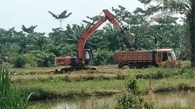 Polisi Diminta Tindak Aktivitas Galian C Berkedok Cetak Lahan Sawah di Langkat