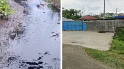 Oknum DPRD Langkat Diduga Bekingi Pabrik Kayu PT KPU yang Cemari Lingkungan