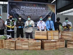 Hasil Operasi Gabungan, Karantina Sumut Musnahkan Komoditas Ilegal Bernilai Rp3,81 M