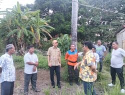 Camat Meukek Dampingi Bupati Mirwan Tinjau Sawah Kering Kerontang di Blang Bladeh