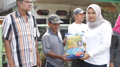 Wabup Madina Salurkan 23 Ton Bibit Padi untuk 162 Kelompok Tani di Kotanopan