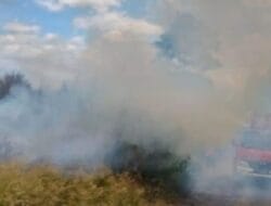 Kebakaran Hutan dan Lahan di Toba Makin Meluas