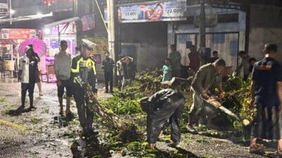 Malam Hari, Polres Aceh Selatan Bersihkan Pohon Tumbang di Lintasan Jalan Negara