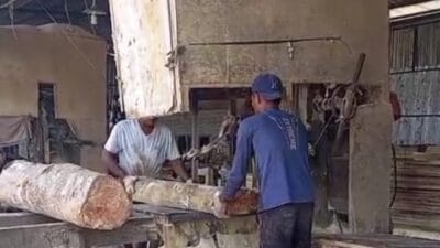 Humas PT KPU Bungkam Soal Keberadaan TKA dan Jumlah Mesin Produksi