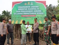 Polres Aceh Selatan Launching Tanam Jagung Serentak Dukung Ketahanan Pangan