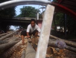 Penjualan Batang Pohon Pinang untuk 17 Agustusan Ramai