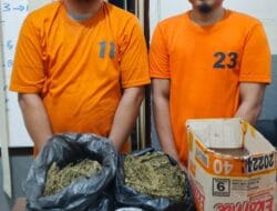 Bawa Ganja, Sopir Truk Tabrak Polisi di Labura