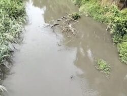 Limbah PKS Sawit Langkat PTPN IV Diduga Cemari Sungai Besilam