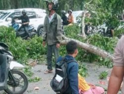 Pohon Tumbang Kembali Terjadi di Stabat, 3 Korban Dirawat di RS Bidadari