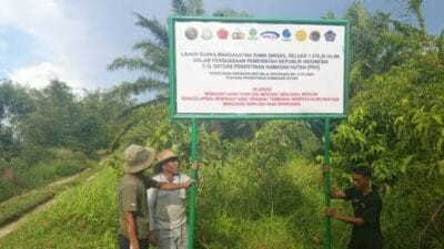 Soal Lahan di Trumon Aceh Selatan, Tomas: BKSDA Jangan Asal Klaim