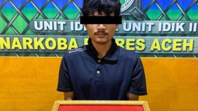 Transaksi Sabu, Warga Alue Peunawa Ditangkap Polisi
