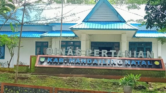 Penggunaan Anggaran Distan Madina Diperiksa Inspektorat, Inspektur Ngaku Kena Ancam