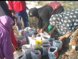 LKLU Surya Senja Bersama Kelompok Lansia Tani Kembangkan Jahe Merah