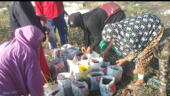 LKLU Surya Senja Bersama Kelompok Lansia Tani Kembangkan Jahe Merah