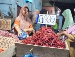 Harga Cabai di Pasaran Kota Medan Melonjak