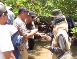 BBKSDA Sumut dan KTH Mangrove Sejahtera Kembangkan Taman Wisata Alam