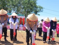 Dukung Asta Cita, Polres Madina Tanam Jagung Kuartal IV di Panyabungan