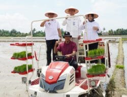 Bupati Langkat Apresiasi BI yang Mendukung Klaster Padi Perkuat Ketahanan Pangan