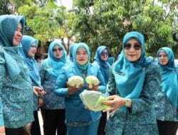 Masuk Nominasi, TP PKK Sumut Evaluasi Tertib Administrasi 2025 Desa Adianjior