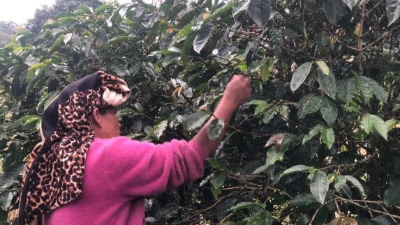 Musim Hujan Mengganggu Aktivitas Petani di Karo