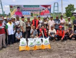 Reses di Karang Anyar Deliserdang, Sutarto Serahkan Bantuan Bibit Jagung ke Petani