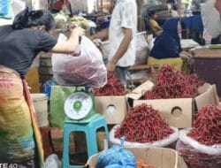 Pedagang Protes Pemprov Sumut Impor Cabai 50 Ton Kendalikan Inflasi‎